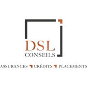 DSL CONSEILS website